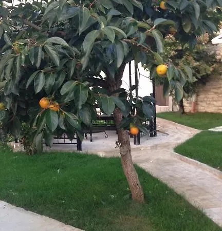 Jurnalist Apartamento *